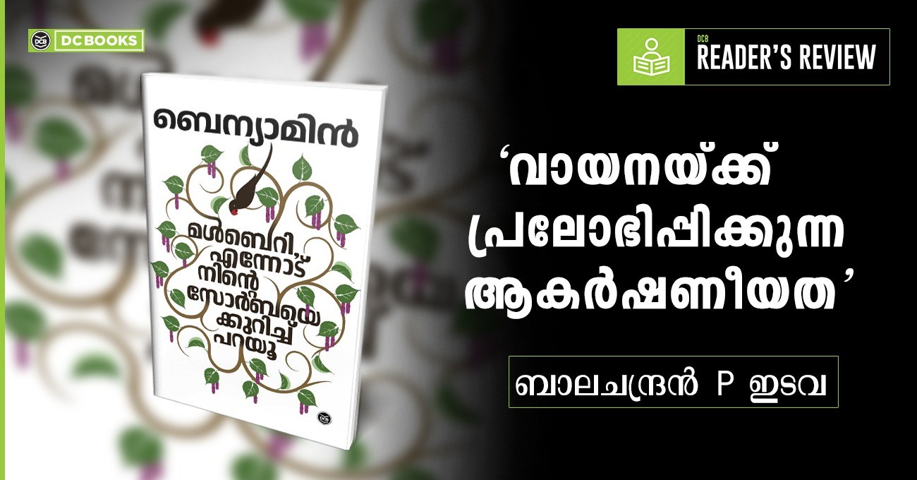 MULBERRY - ENNODU NINTE ZORBAYE KURICHU PARAYU | മൾബെറി, എന്നോട് നിൻ്റെ സോർബയെക്കുറിച്ച് പറയൂ