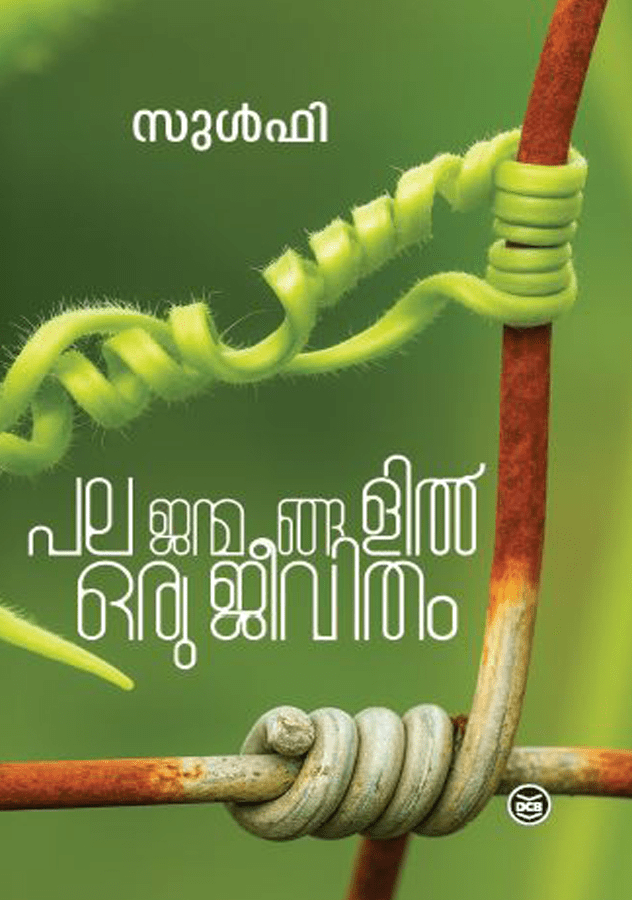 പല ജന്മങ്ങളിൽ ഒരു ജീവിതം | PALA JANMANGALIL ORU JEEVITHAM