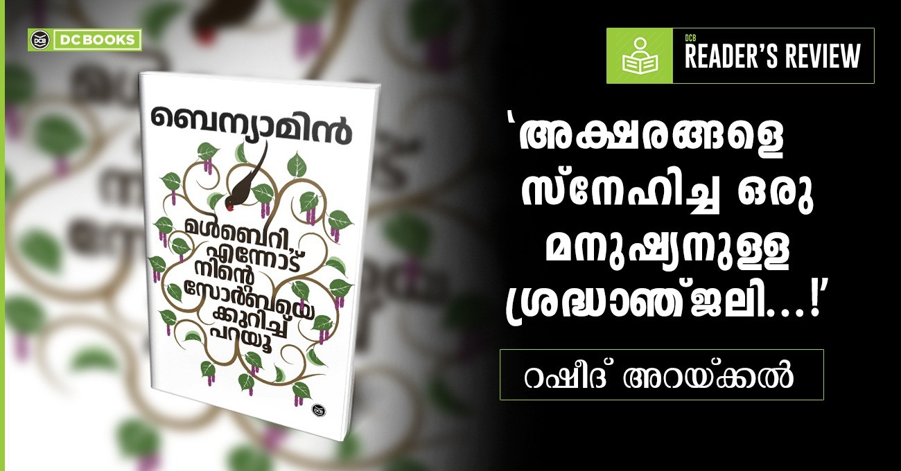 MULBERRY - ENNODU NINTE ZORBAYE KURICHU PARAYU | മൾബെറി, എന്നോട് നിന്റെ സോർബയെക്കുറിച്ച് പറയൂ | mulberry book, mulberry novel 
