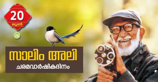 Salim Ali