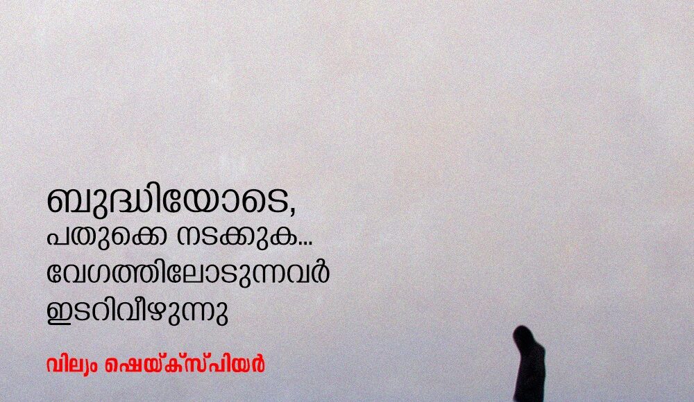 ad00784e-0cf1-4925-be5f-d146653c617a