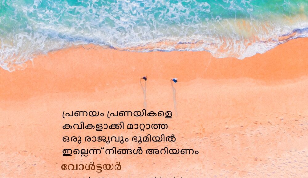 52d8fd50-afc8-4ca9-9d49-8414f0c55c68