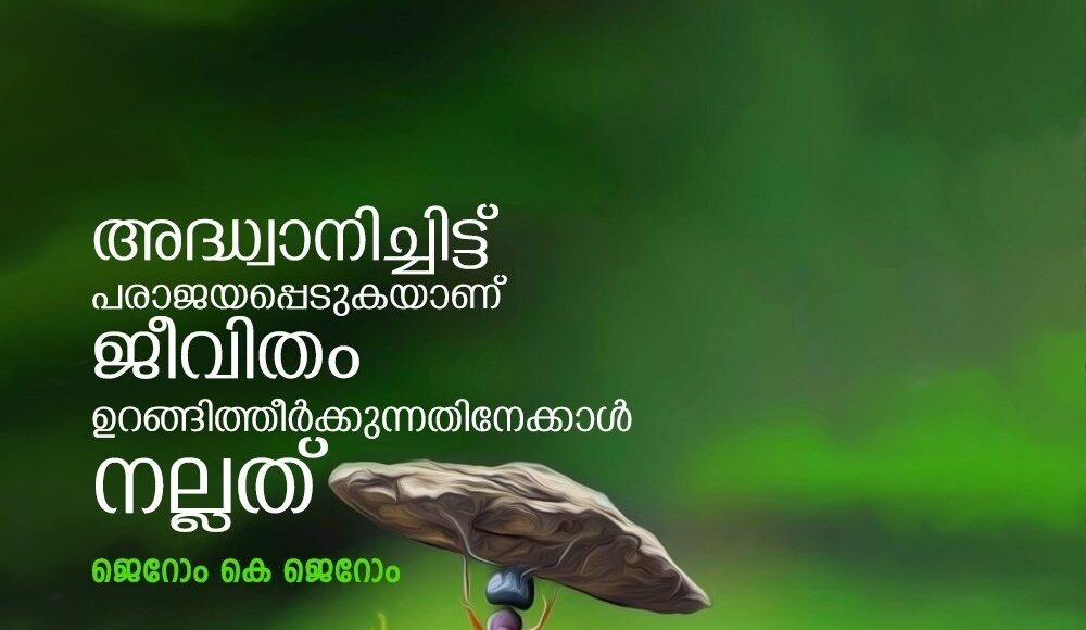 6b89b38c-6865-4d1c-8eaf-f71061bb9242